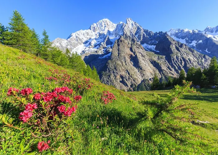 Plan Gorret Wonderful Flat In Apartman