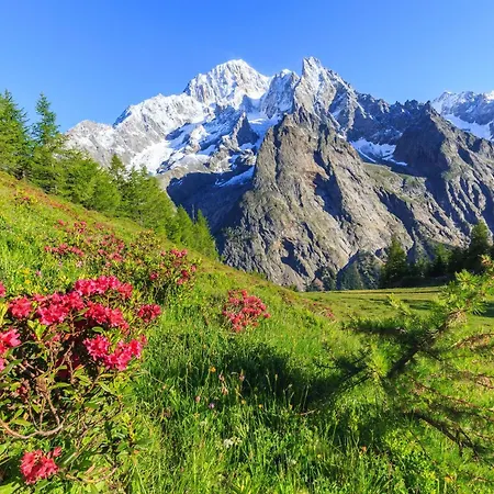 Plan Gorret Wonderful Flat In Lägenhet